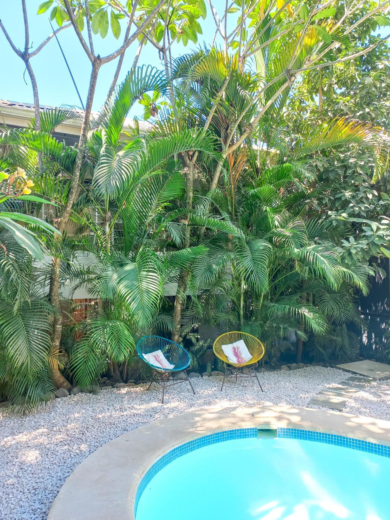 Calma Apartments Costa Rica 말파이스 외부 사진