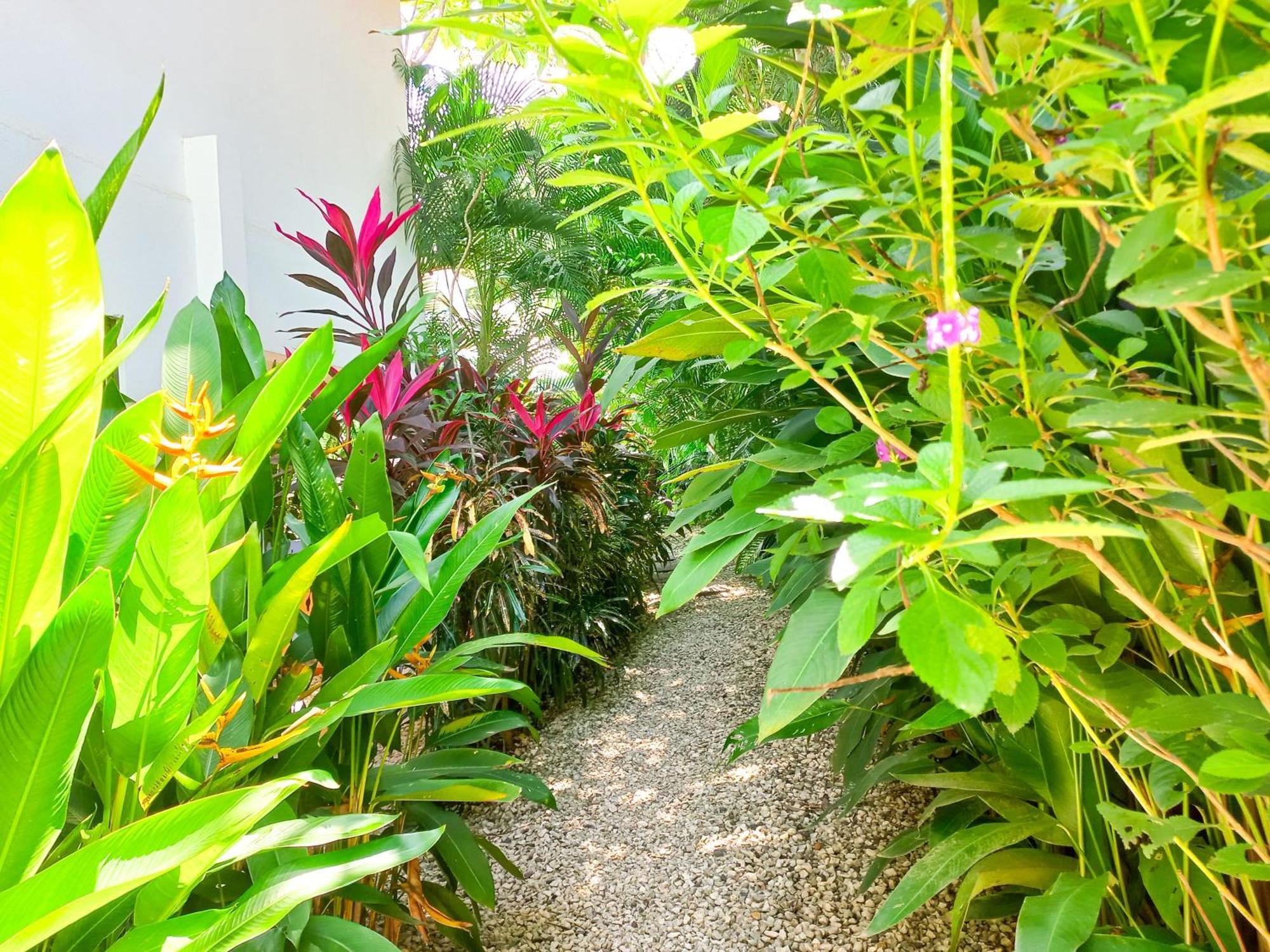 Calma Apartments Costa Rica 말파이스 외부 사진